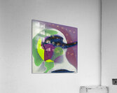 1790 8K Acrylic Print