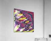 1757 8K Acrylic Print