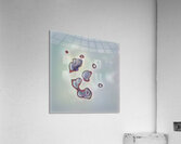 1762 8K Acrylic Print