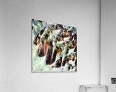 1765 8K Acrylic Print