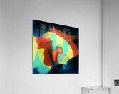 1793 8K Acrylic Print