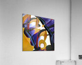 1802 8K Acrylic Print