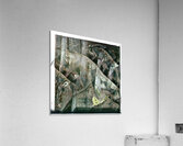 1809 8K Acrylic Print