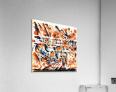 1828 8K Acrylic Print