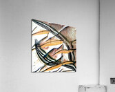 1830 8K Acrylic Print