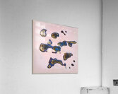 1832 8K Acrylic Print