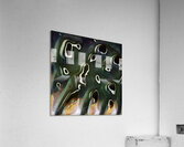 1856 8K Acrylic Print