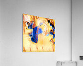 1844 8K Acrylic Print