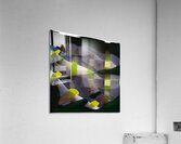 1836 8K Acrylic Print