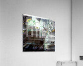 1843 8K Acrylic Print