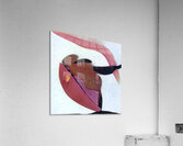 1903 8K Acrylic Print