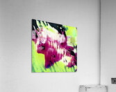 1892 8K Acrylic Print