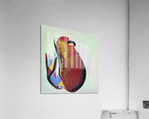 1905 8K Acrylic Print