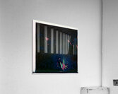 1918 8K Acrylic Print