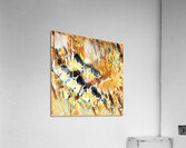 1949 8K Acrylic Print