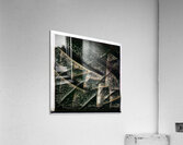 1948 8K Acrylic Print