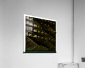 1952 8K Acrylic Print