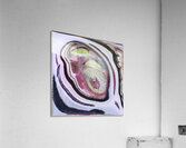 1974 8K Acrylic Print