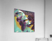 1986 8K Acrylic Print