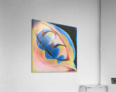 1961 8K Acrylic Print