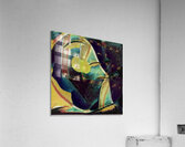 1958 8K Acrylic Print