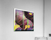 2025 8K Acrylic Print