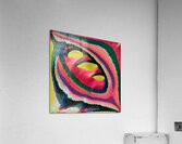 2018 8K Acrylic Print