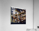 2008 8K Acrylic Print