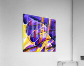 2061 8K Acrylic Print