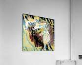 2060 8K Acrylic Print