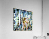 2038 8K Acrylic Print