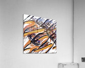 2064 8K Acrylic Print