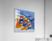 2065 8K Acrylic Print