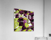 2049 8K Acrylic Print