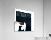 2063 8K Acrylic Print