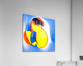 2088 8K Acrylic Print