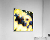 2106 8K Acrylic Print