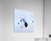 2112 8K Acrylic Print