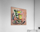 2128 8K Acrylic Print