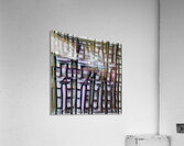 2147 8K Acrylic Print