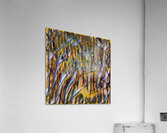 2190 8K Acrylic Print