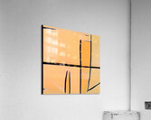 2185 8K Acrylic Print