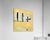 2184 8K Acrylic Print