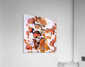 2201 8K Acrylic Print