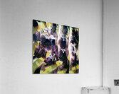 2224 8K Acrylic Print