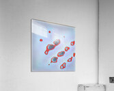 2204 8K Acrylic Print