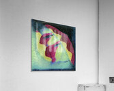 2244 8K Acrylic Print