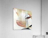 2242 8K Acrylic Print