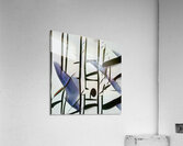 2258 8K Acrylic Print