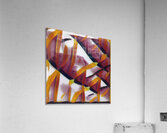 2236 8K Acrylic Print